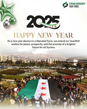 Image post by @syrianetf on Instagram