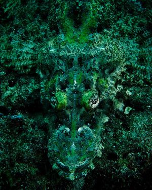 Image post by @natgeo on Instagram
