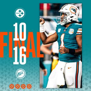 Image post by @dolphins_esp on Instagram
