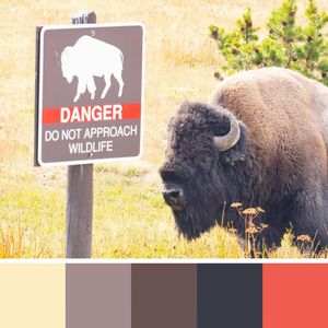 Image post by @nationalparkservice on Instagram