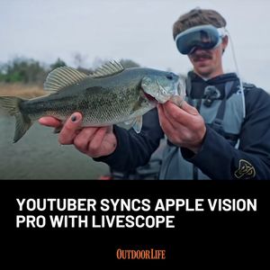 Image post by @outdoor_life on Instagram