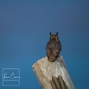 Image post by @lightboximages on Instagram