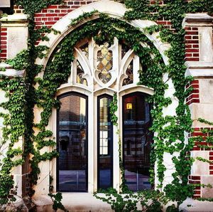 Image post by @uchicago on Instagram