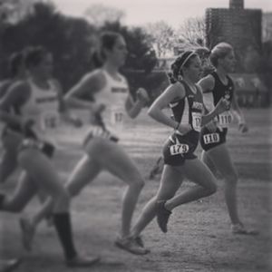 Image post by @hofstratrackxc on Instagram