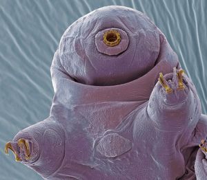 Image post by @ScienceChannel on Twitter/X
