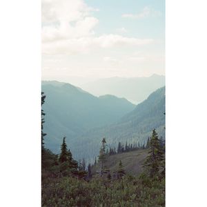 Image post by @lostfoxcreative on Instagram