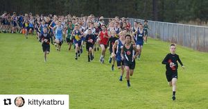 Image post by @usatf on Instagram