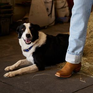 Image post by @justinboots_ on Instagram