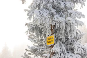Image post by @aspensnowmass on Instagram