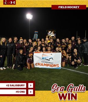 Image post by @suseagulls on Instagram