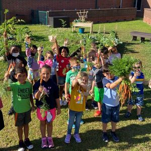 Image post by @kidsgardening on Instagram