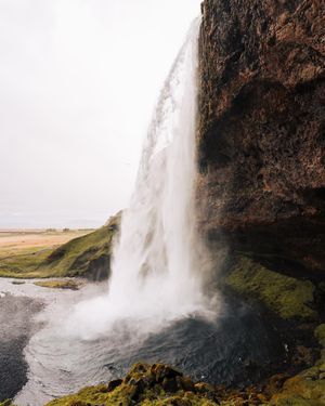 Image post by @drewpeden on Instagram