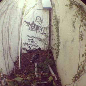 Image post by @chrishaven on Instagram
