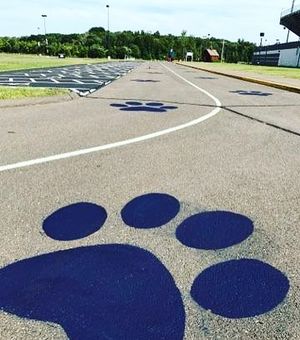 Image post by @pwstadium on Instagram