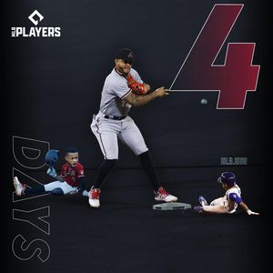 Image post by @mlb.mini on Instagram
