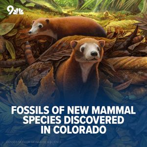 Image post by @9newsdenver on Instagram