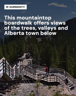 Image post by @curiocitycalgary on Instagram