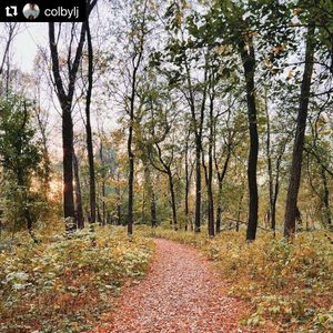 Image post by @fargoparks on Instagram