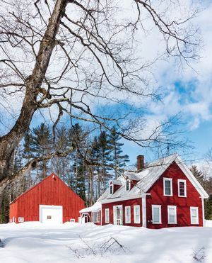 Image post by @themainemag on Instagram
