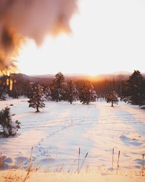 Image post by @nauflagstaff on Instagram