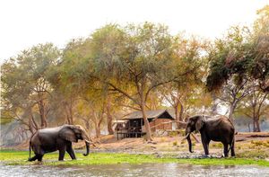Image post by @chiawasafaris on Instagram
