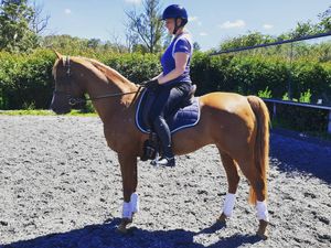 Image post by @performancesaddlefitssthsydney on Instagram