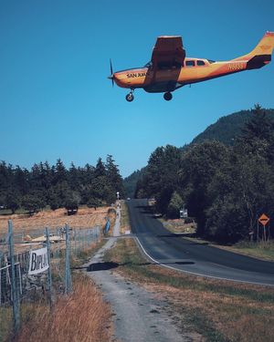 Image post by @willtrogdon on Instagram