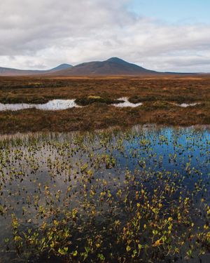 Image post by @visitscotland on Instagram