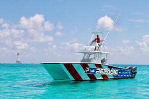 Image post by @freemanboatworks on Instagram