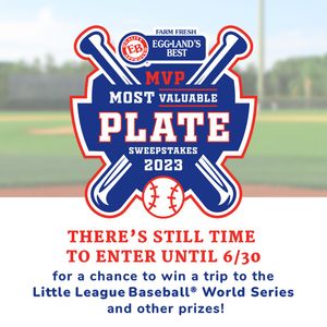 Image post by @littleleague on Instagram