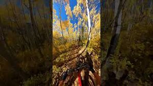 Video post by @gopro on YouTube