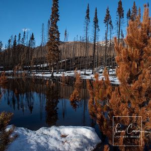 Image post by @lightboximages on Instagram