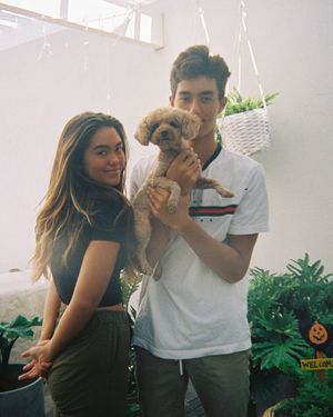Image post by @surferleila on Instagram