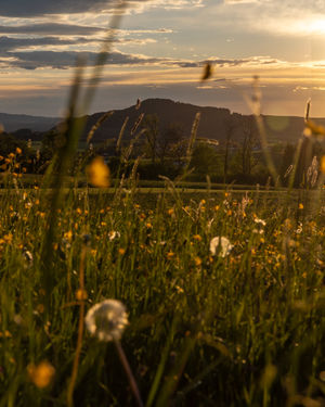 Image post by @cristan.nature.photography on Instagram