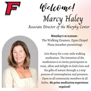 Image post by @fairfieldstags on Instagram