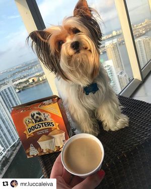 Image post by @dogstersicecream on Instagram