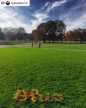Image post by @studentlifeosu on Instagram