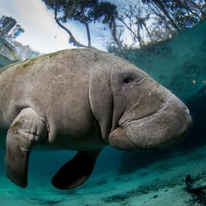 Image post by @discovery on Instagram