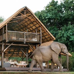 Image post by @chiawasafaris on Instagram