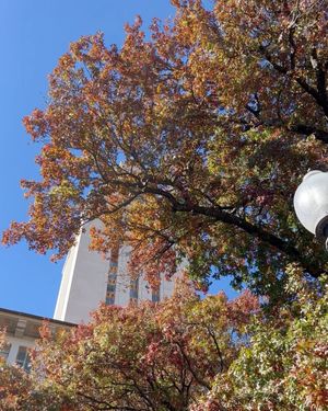 Image post by @utaustintx on Instagram