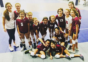 Image post by @mytribevolleyball on Instagram