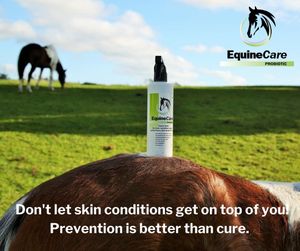 Image post by @equinecareprobiotic on Instagram