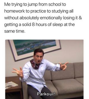 Image post by @soccergrlprobs on Instagram