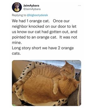 Image post by @nextdoor on Instagram