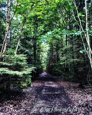 Image post by @c91photography on Instagram