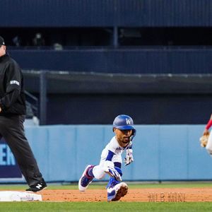 Image post by @mlb.mini on Instagram