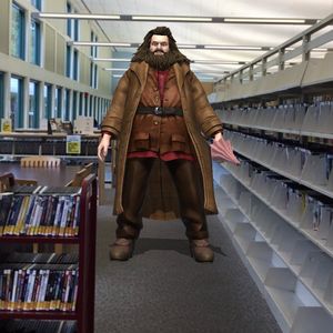 Image post by @stjohnscountylibrary on Instagram
