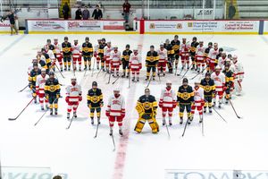 Image post by @cornellwhockey on Instagram