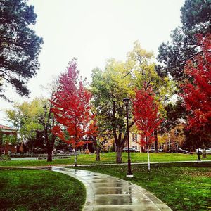 Image post by @nauflagstaff on Instagram