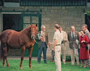 Image post by @spendthriftfarm on Instagram